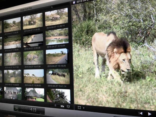 Kruger Park Media in Final Cut Pro X